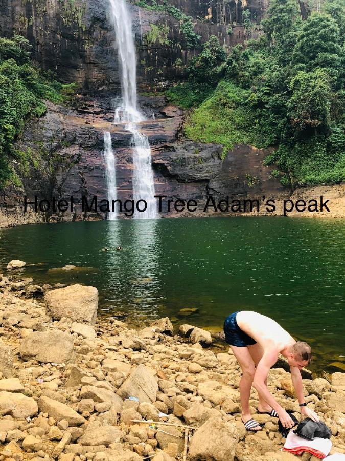 Hotel Mango Tree Nearest Adam'S Peak Nallathanniya Luaran gambar