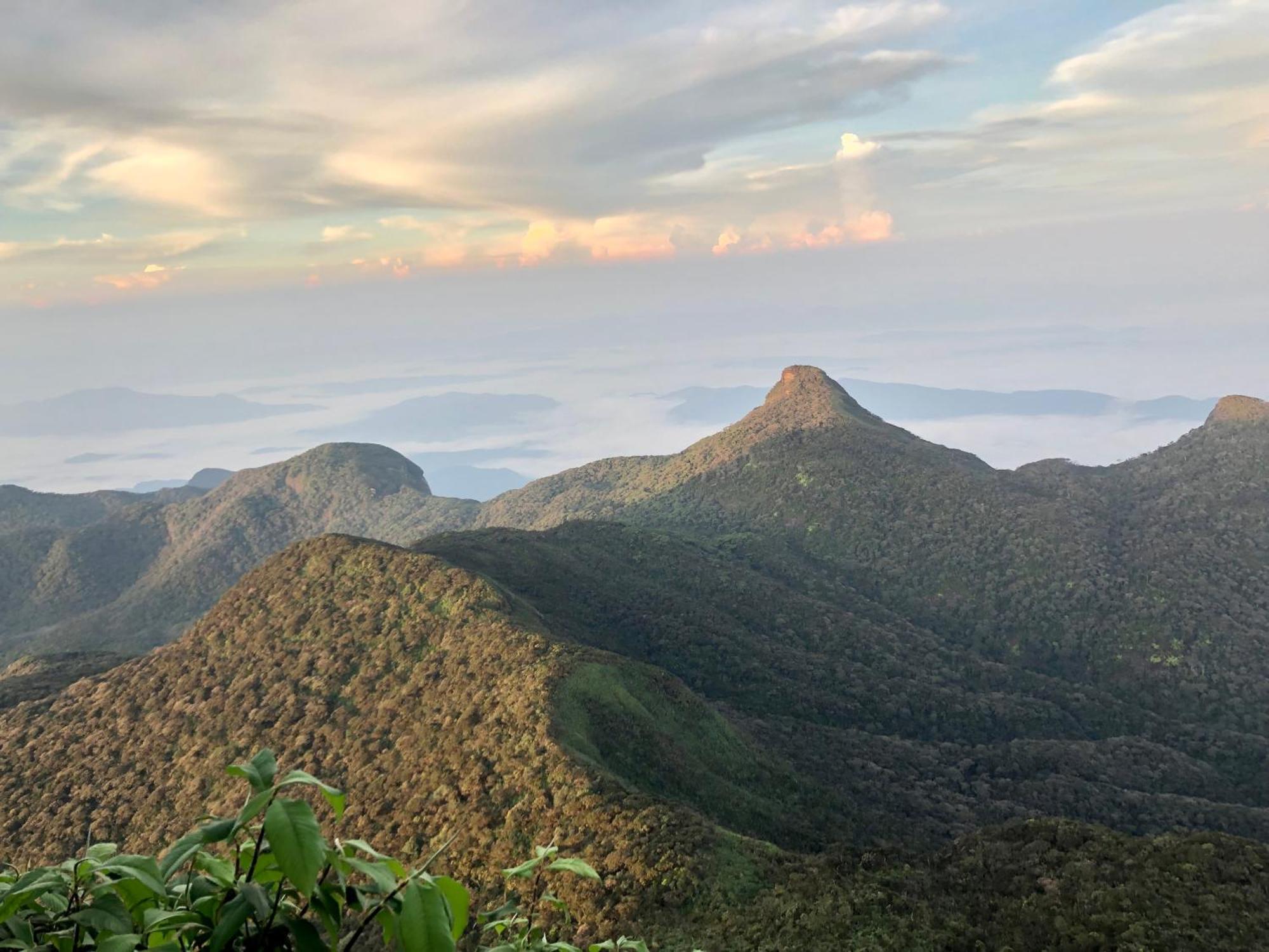 Hotel Mango Tree Nearest Adam'S Peak Nallathanniya Luaran gambar