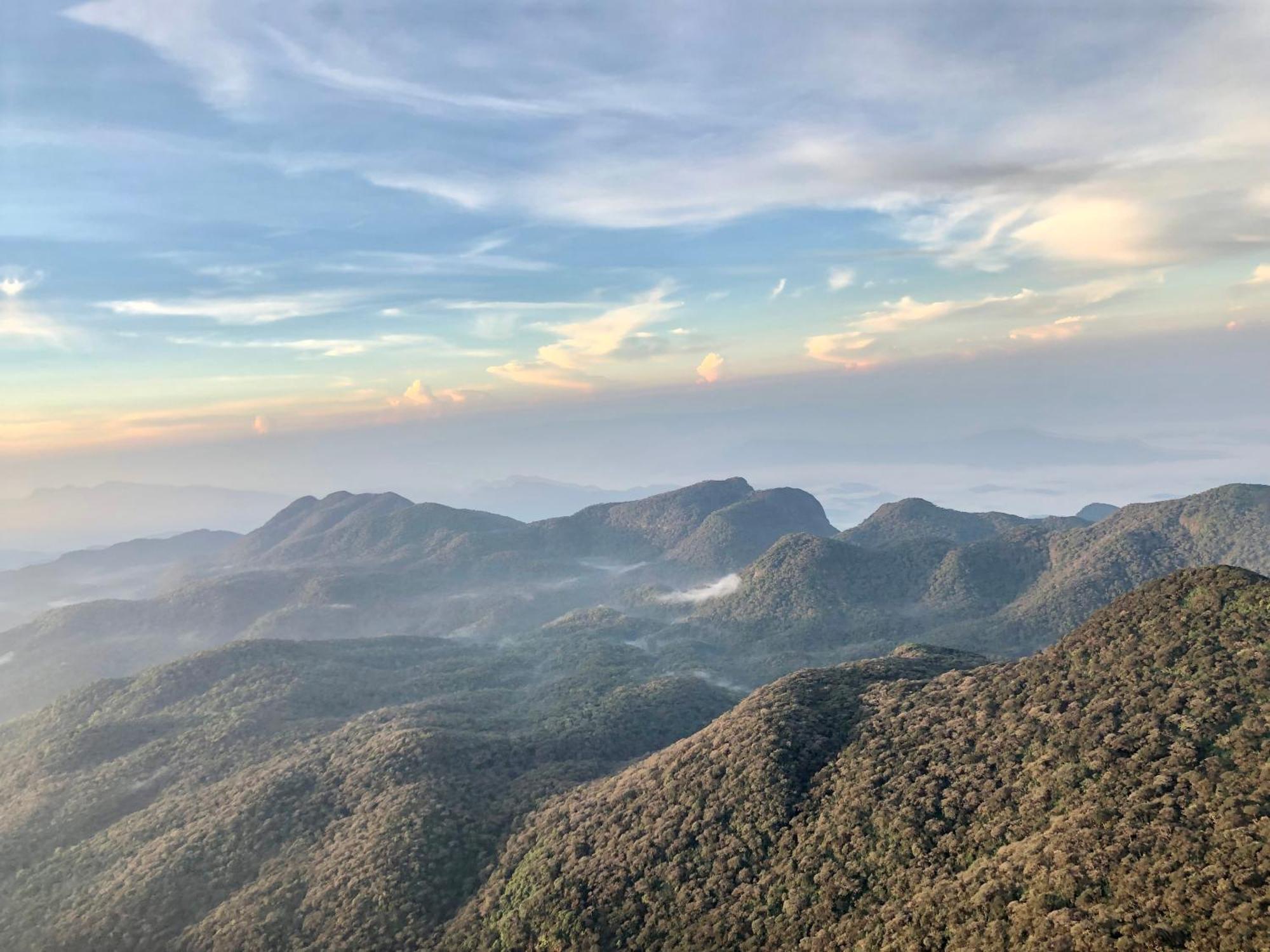 Hotel Mango Tree Nearest Adam'S Peak Nallathanniya Luaran gambar