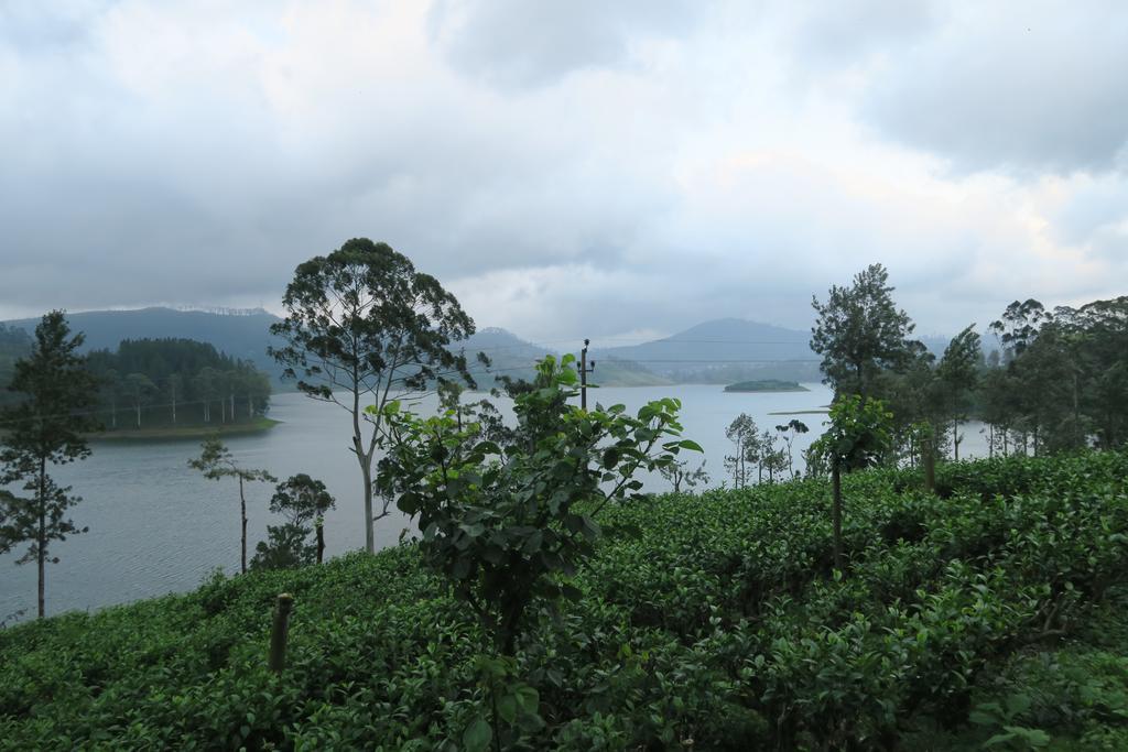 Hotel Mango Tree Nearest Adam'S Peak Nallathanniya Luaran gambar